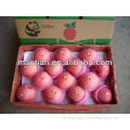 Yantai Fresh Red Fuji Apple-2013 new crop